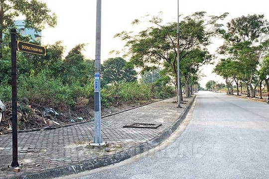 Sửa luật để siết phân lô, bán nền